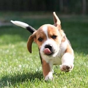 Meet your Posher, Fiona